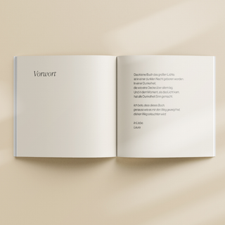 Laura Malina Seiler: Das kleine Buch des großen Lichts